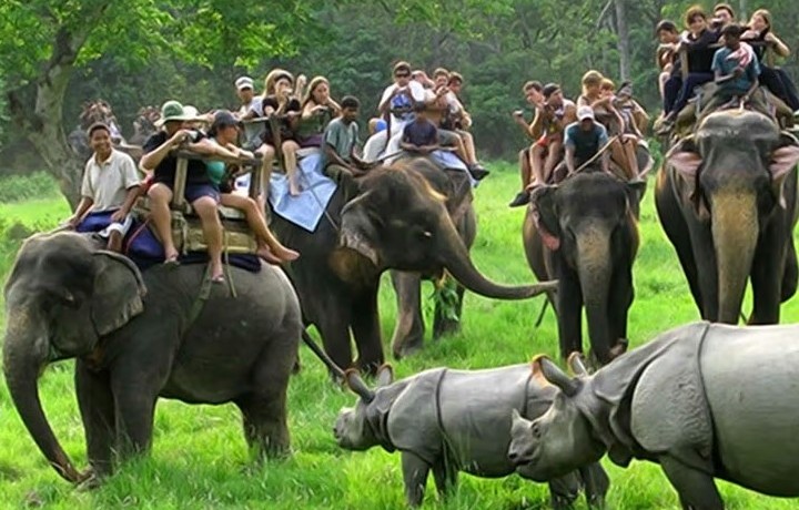 Meghalaya with Mawlynnong Village & Kaziranga Tour Package